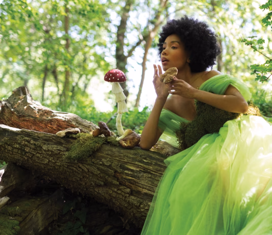 The Mushroom Fairy From the North American Journal of Fairyology Photography: JOVANA RIKALO @jovanarikalo Model: Phoebe @phoebymontari Mushrooms: Ana Youkhana @ana_youkhana Decor: Tandrbal @tandrbal