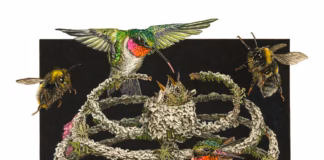 Hollow Bones by Katrina Haffner