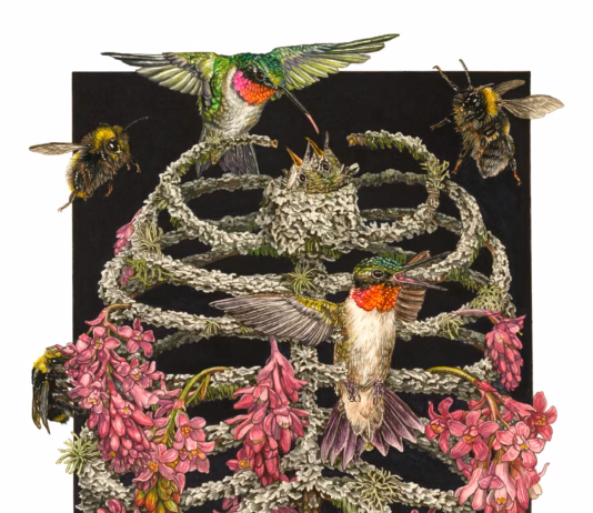 Hollow Bones by Katrina Haffner