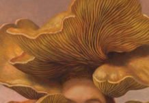 Oyster by Kristin Kwan