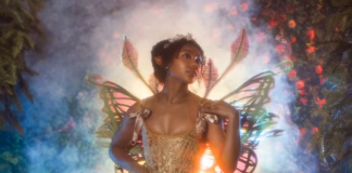 Photography- OLIVIA EDVALSON @oliviarosephoto | Model and wings: Tatiana Pimentel @teepimentel | Corset: Nightingale Corsetry @nightingalecorsetry