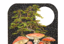 What Shines in the Dark by Katrina Haffner