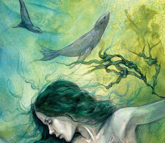 The Seal Wife © Julia Jeffrey