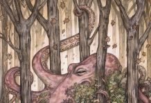 Featured Artist: Adam Oehler