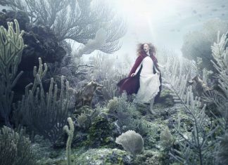 The Sinking World of Andreas Franke