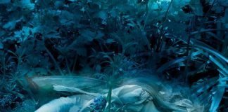 Brian and Wendy Froud