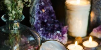 CoralAntlerCreative:shutterstock.com