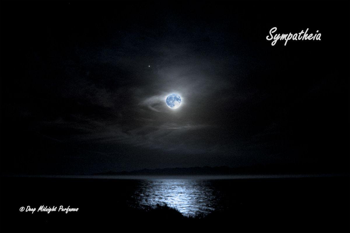 DeepMidnightPerfumes_05