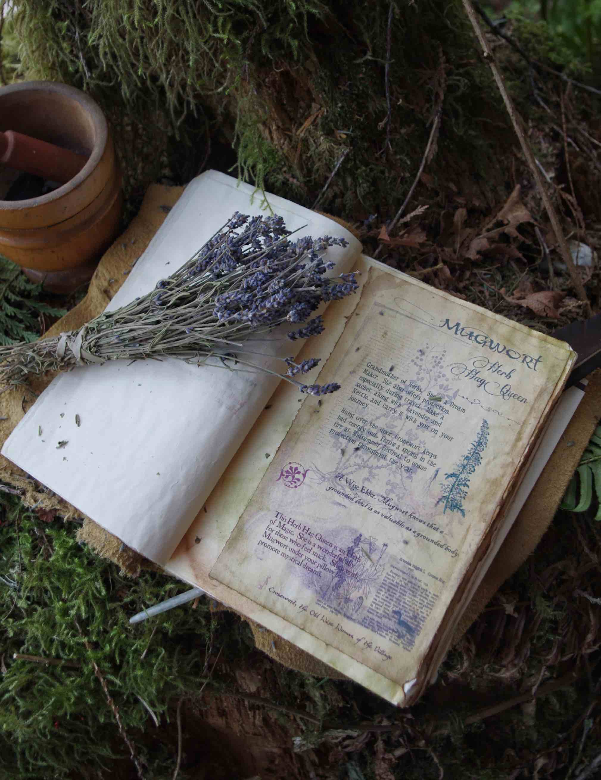 EnchantedLivingMagazine-MonicaCrosson Enchanted Living Magazine Journal Lavender