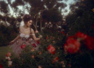 Lost Lands Collection