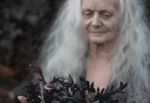 The Root Queen’s Winter