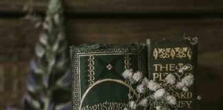 Photography by Courtney Fox