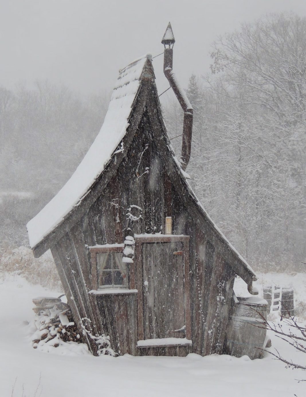 PHOTOGRAPHY BY DAN PAULY