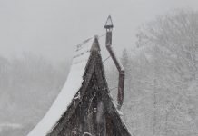 At Home in the Forest PHOTOGRAPHY BY DAN PAULY