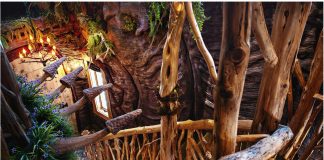 Roxbury at Stratton Falls-2