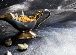 Winter Faerie Beauty