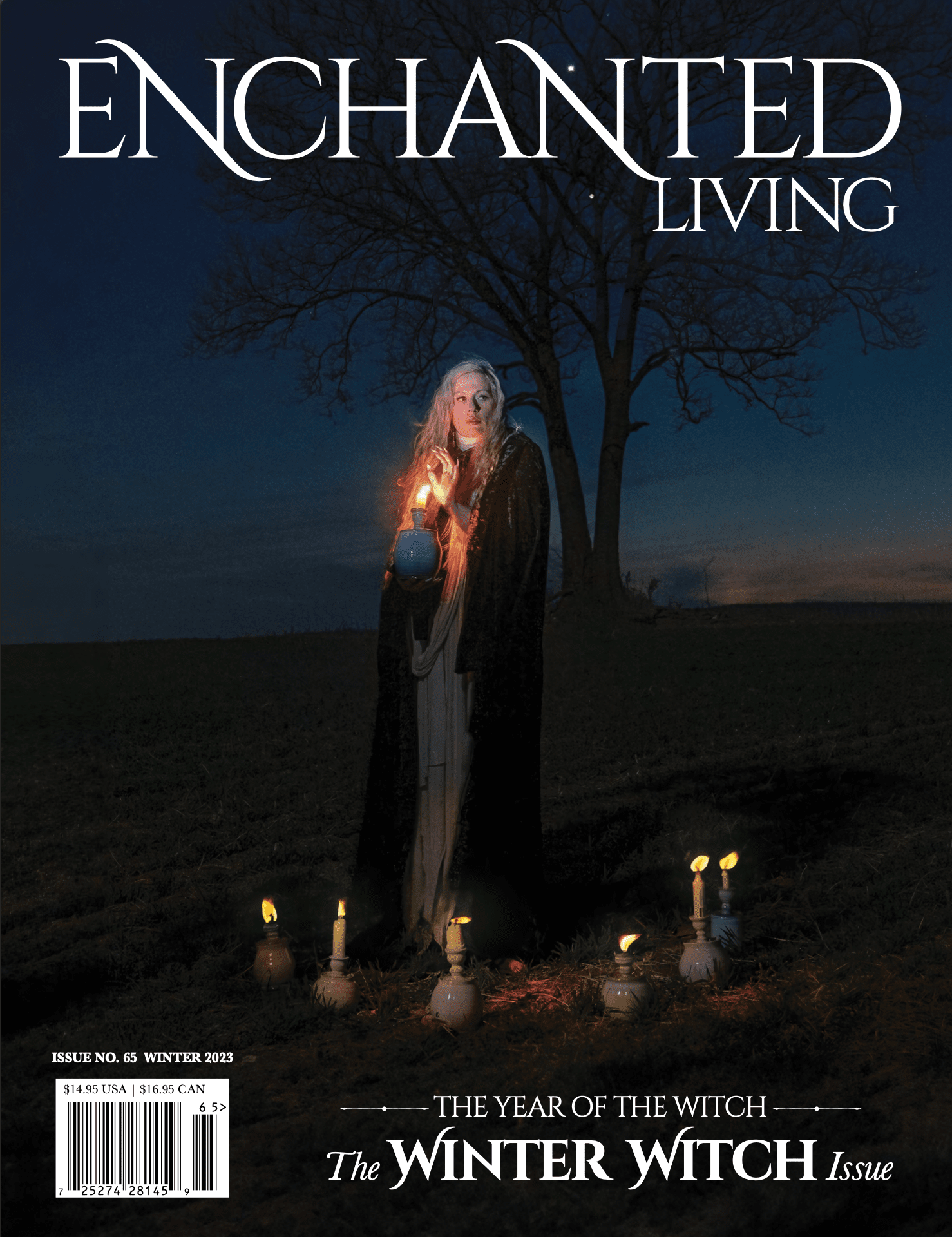 Enchanted Living - Winter Witch Enchanted Living - Winter Witch