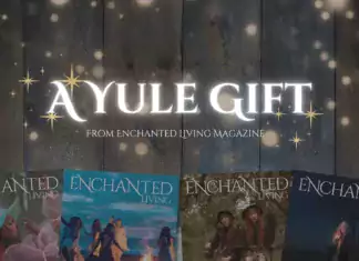 A Special Yule Gift A Yule Gift From Enchanted Living Magazine - Year of The Witch Free Issue Download
