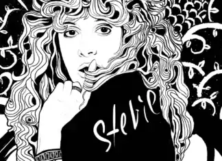The Enchanted Playlist Illustration by Steve Parke | Stevie Nicks Fleetwood Mac
