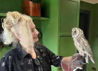 A Special Missive from Sherry Ross